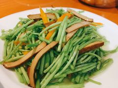 芦蒿炒香干-龙梅肥肠鱼(明瓦廊店)