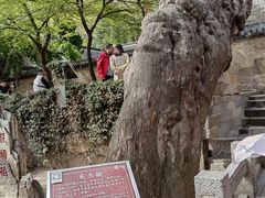 -青岛崂山太清宫