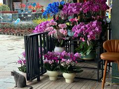 -The Flowers Coffee(南山店)