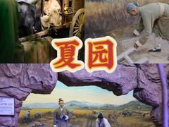 -威海华夏城景区