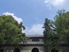 -灵谷景区