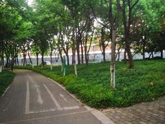 -尚贤河湿地