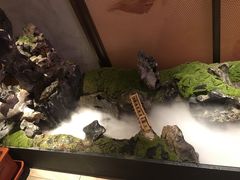 大堂-巴盟人家·内蒙地方菜(华丽家族店)