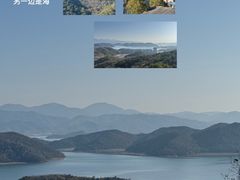 -黄贤森林公园