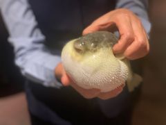 -肆月河豚·淮扬菜·湘菜(华天店)