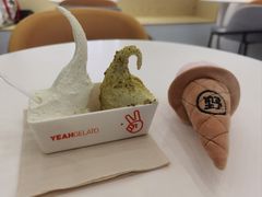 -野人先生现做冰淇淋(北京环宇荟店)