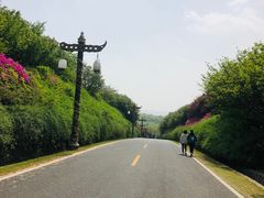 -宜兴龙背山森林公园