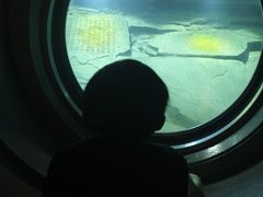 -白鹤梁水下博物馆