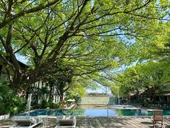 -喜洲吧·江畔老船厂·庭院餐厅(喜临院店)