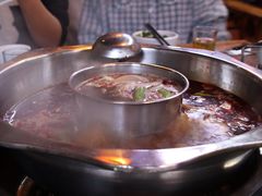 -金鼎雪山牦牛杂火锅(理县总店)