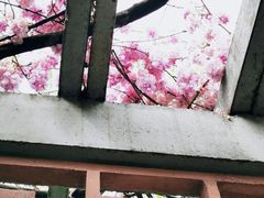 -郑和公园