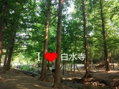 -白水寺森林公园