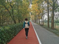 -上海长兴岛郊野公园