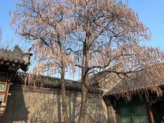 -张学良旧居陈列馆