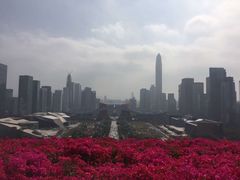 -荔枝公园-小平画像广场