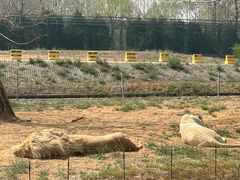 -秦皇岛野生动物园