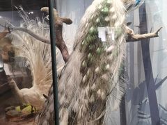 -陕西自然博物馆