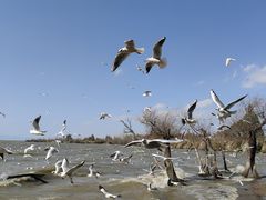 -捞渔河湿地公园
