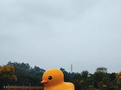 -谷丰健康凤贤居酒家