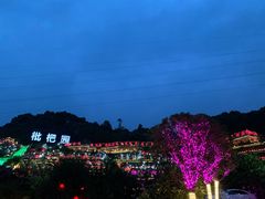-枇杷园食为鲜火锅(南山店)