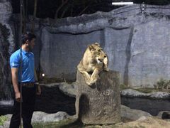 -清迈夜间动物园