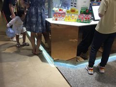 -3T GELATO意大利手工冰淇淋(万象汇店)