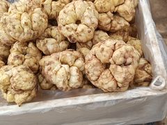 -长兴慧子土特产茶行