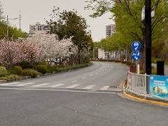 -新江湾城公园