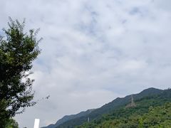 -南丹山森林王国