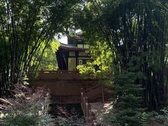 -青羊宫
