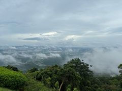 -黄埔油麻山森林公园