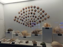 -泉城欧乐堡海洋极地世界