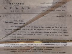 -北京动物园-畅观楼