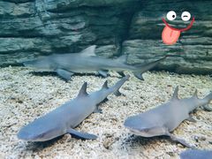 -石林冰雪海洋世界