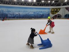 -世界之窗阿尔卑斯冰雪世界