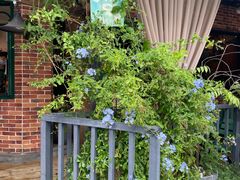 -The Flowers Coffee(南山店)
