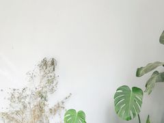 -Willing·Coffee&Brunch&Dinner(万达店)