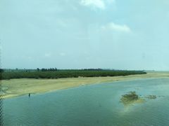 -北海金海湾红树林生态旅游区