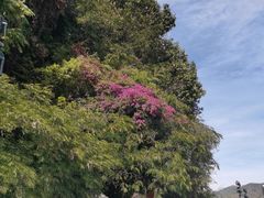 -南诏风情岛