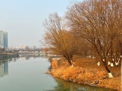 -七桥瓮公园