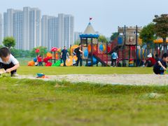 -菊园百果园