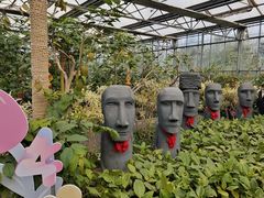 -南宫五洲植物乐园