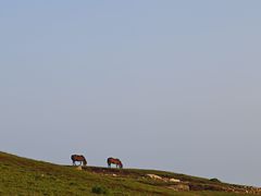 -灵山