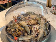 -半岛听涛蒸汽海鲜自助(K11店)