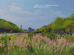 -深圳国际园林花卉博览园