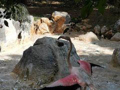 -昆明动物园