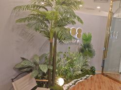 -八佰伴8008星级形象店