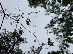 -同里国家湿地公园