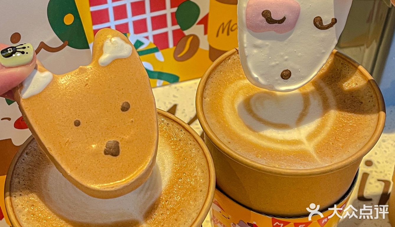 🧸成都的冬天｜萌宠蛋白霜竟然如此可爱 