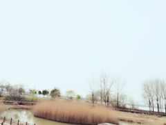 -老头盖浇饭(南京新街口明瓦廊宏光酒店店)